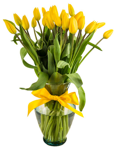 tulips in a glass vase