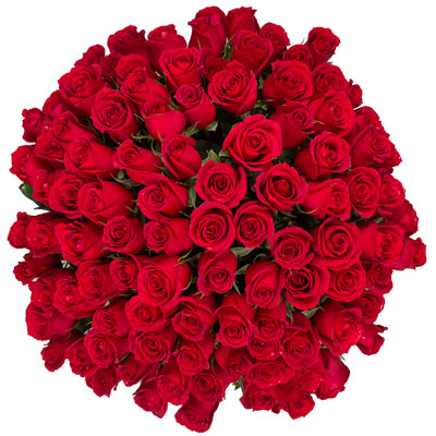 100 Long stem red roses