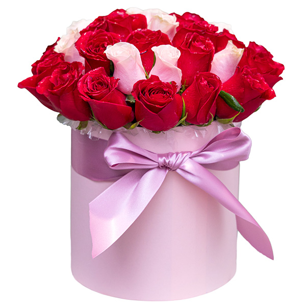 Roses in tall round pink box